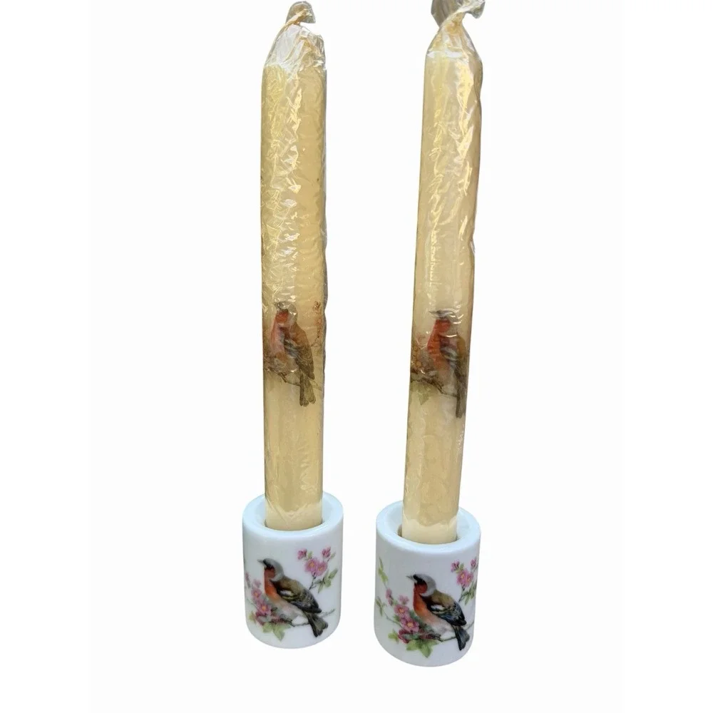Vintage Set of 2 Taper Candles & Holders Painted Birds and Flowers. Germany MCM